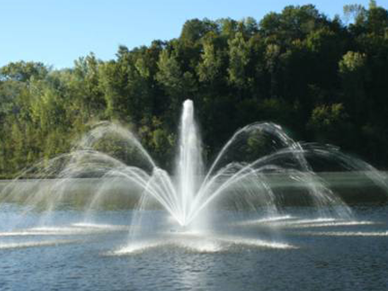 Floating Fountain Store